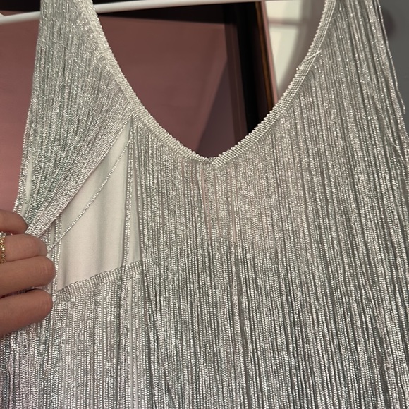 Silver Roaring 20s Dress - Picture 3 of 3